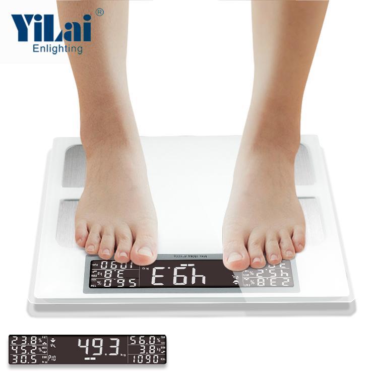 body fat scale